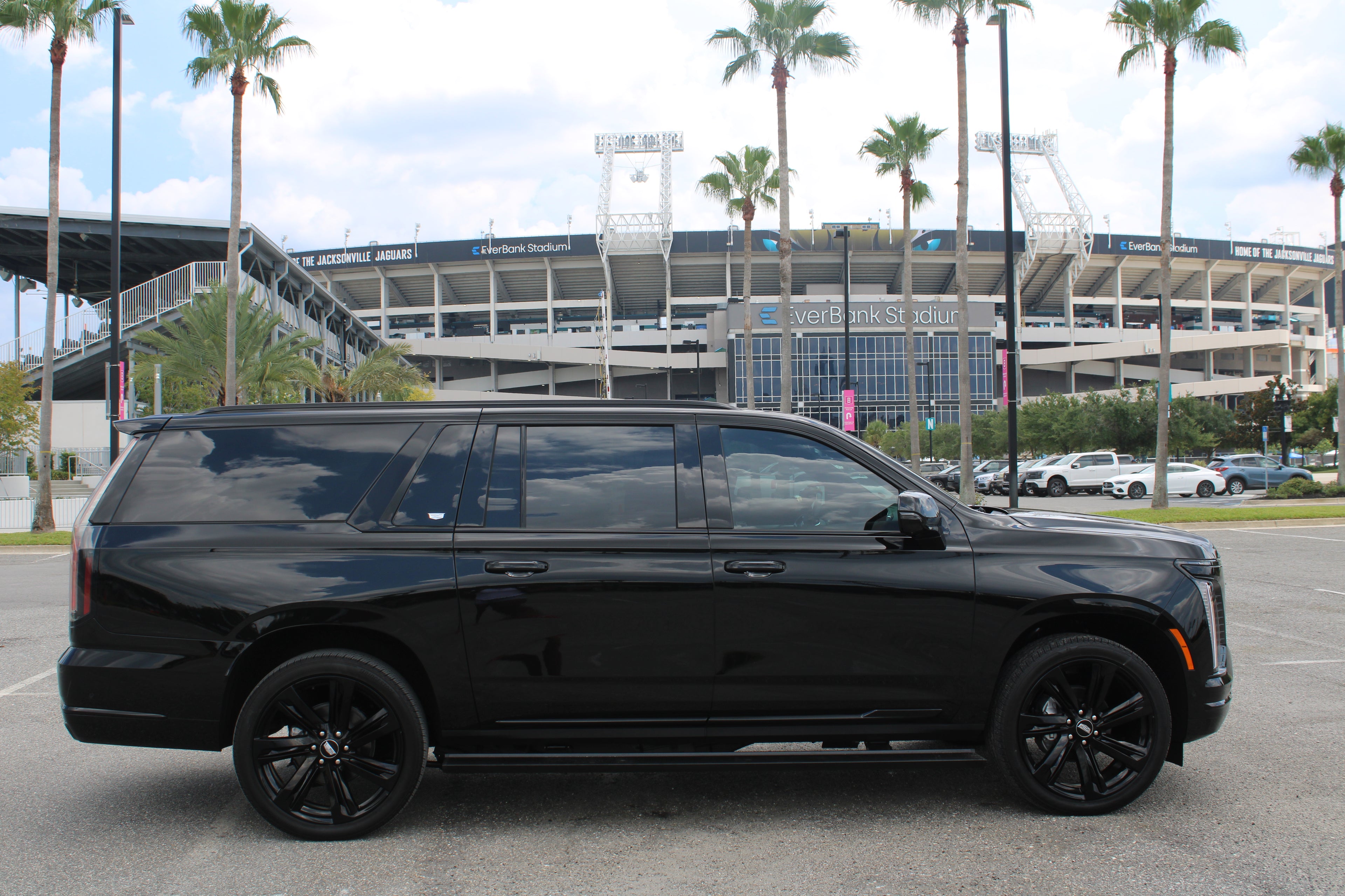 Game Day VIP Experience